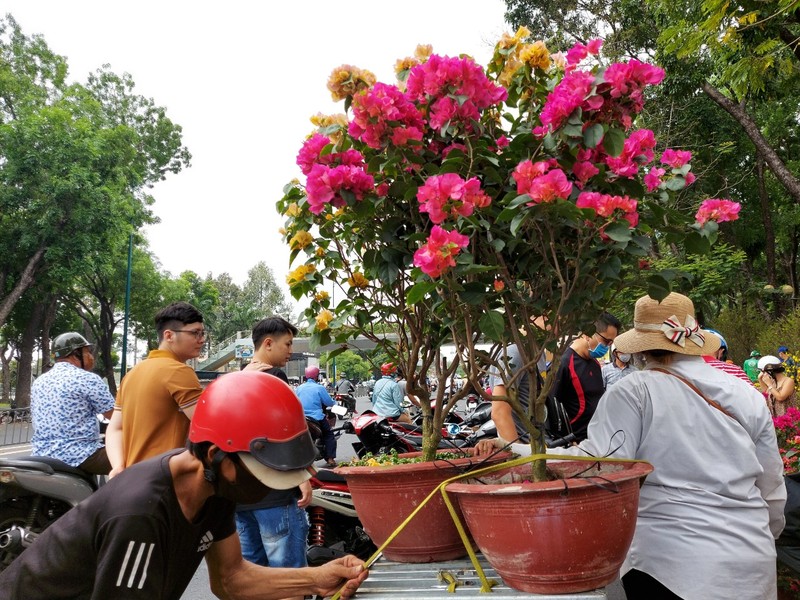 Ngày 30 Tết: Tấp nập mua bán, cây kiểng 'cháy hàng' - ảnh 8