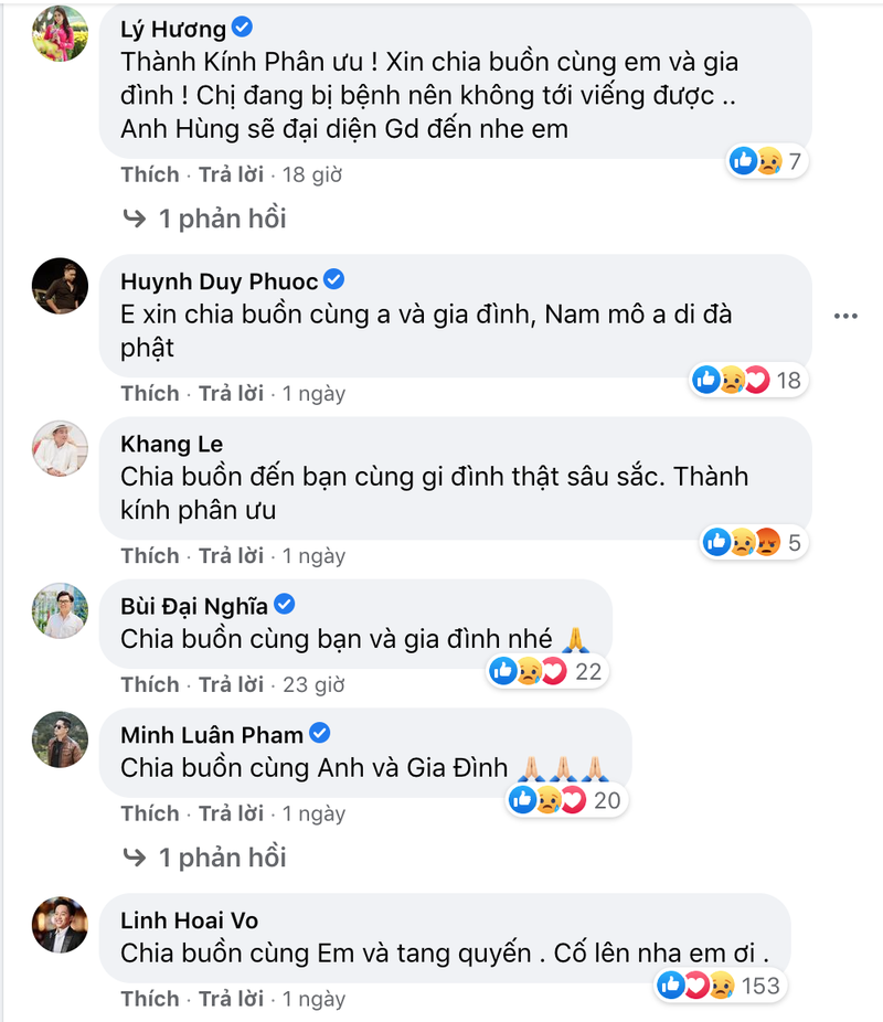 Sao Việt và người hâm mộ tiếc thương nghệ sĩ Đức Lang - ảnh 2
