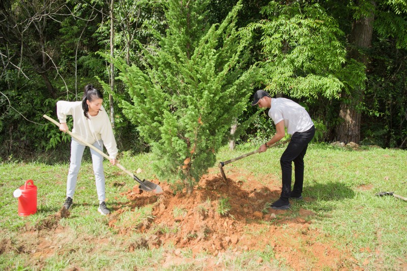 Dàn mỹ nhân Miss Earth Việt Nam đi trồng cây - ảnh 8