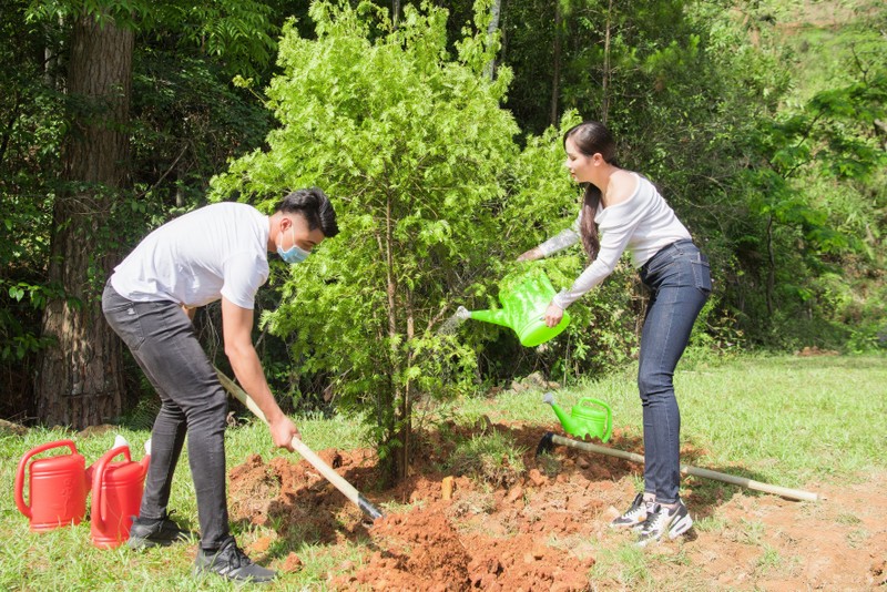 Dàn mỹ nhân Miss Earth Việt Nam đi trồng cây - ảnh 5