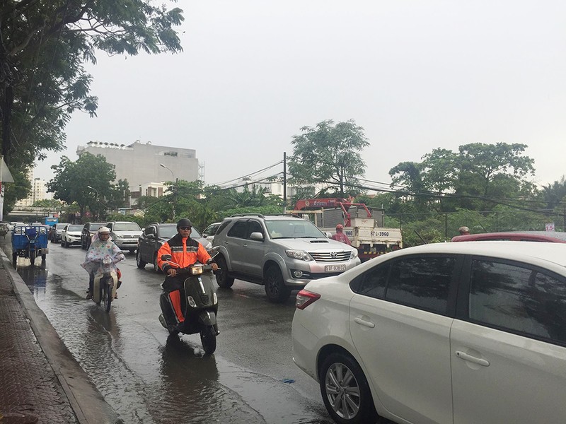 Mưa lớn, cây đè cột điện ở quận 2, giao thông hỗn loạn - ảnh 2