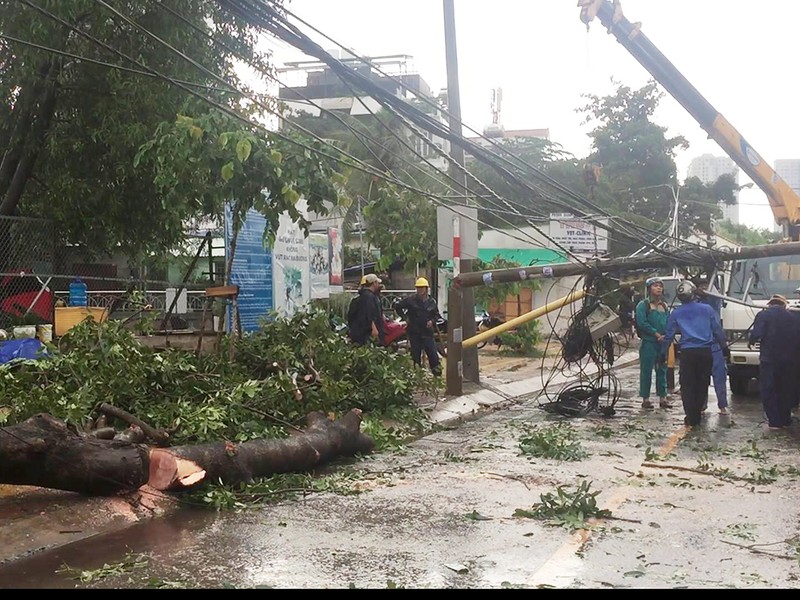 Mưa lớn, cây đè cột điện ở quận 2, giao thông hỗn loạn - ảnh 1