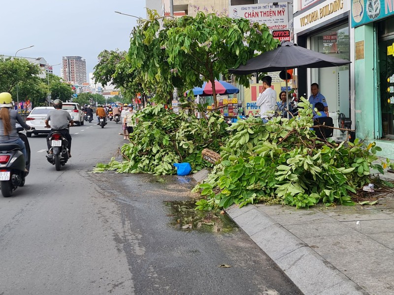 Mưa lớn, đường ngập, cây ngã khắp nơi ở TP.HCM - ảnh 7