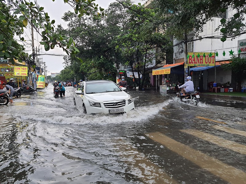 Mưa lớn, đường ngập, cây ngã khắp nơi ở TP.HCM - ảnh 4