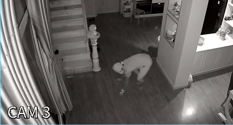 Mặc cho gia chủ ngủ ngay cửa, trộm vào lục tung nhà trong 1 tiếng đồng hồ - ảnh 1