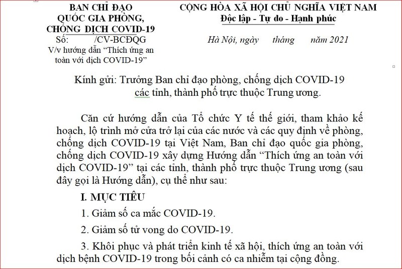 Bộ Y tế: Hướng dẫn thích ứng an toàn chưa thể thay thế Chỉ thị 15, 16 - ảnh 1