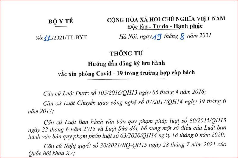 Tư vấn cấp phép Nano Covax, cuộc họp chưa có tiền lệ - ảnh 2