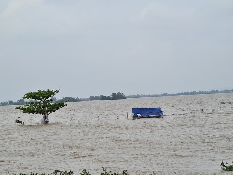 Cập nhật lũ lịch sử ở Phú Yên: 4 người chết, gần 30.000 căn nhà bị ngập - ảnh 16