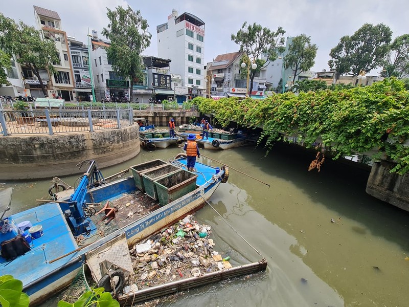 Nguyên nhân cá chết hàng loạt trên kênh Nhiêu Lộc-Thị Nghè - ảnh 2