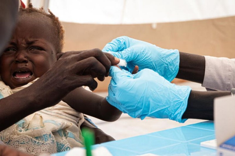 WHO: COVID-19 khiến số ca tử vong do bệnh sốt rét tăng vọt - ảnh 2
