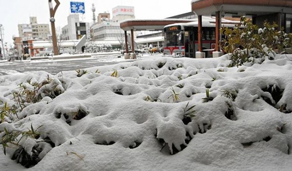 Chùm ảnh: Tuyết rơi dày kỷ lục gây hỗn loạn giao thông ở Nhật  - ảnh 5