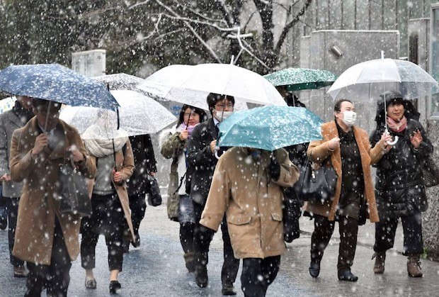 Chùm ảnh: Tuyết rơi dày kỷ lục gây hỗn loạn giao thông ở Nhật  - ảnh 6