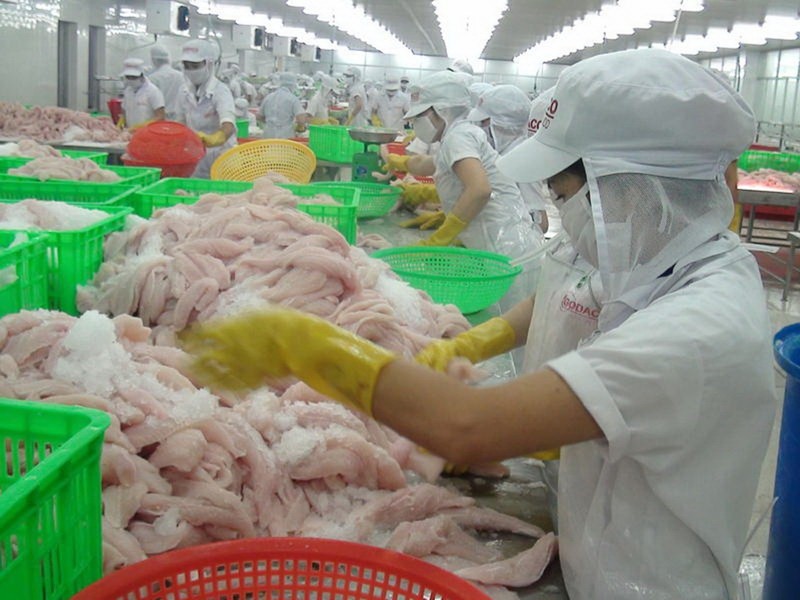 Con cá tra Việt lại bị chơi xấu, bôi nhọ ở nước ngoài - ảnh 1
