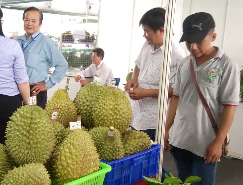 Thái Lan 'mượn' Việt Nam bán nửa tỉ USD trái cây sang TQ - ảnh 1