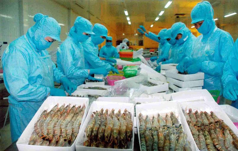 Trung Quốc tăng nuôi tôm, Việt Nam vẫn có cơ hội xuất khẩu lớn - ảnh 1
