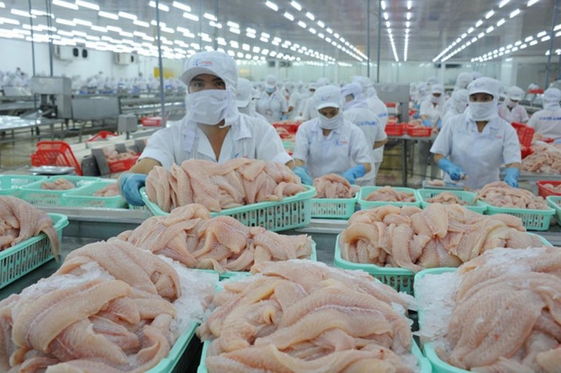 Mỹ đánh thuế cao, cá tra Việt 'bơi' sang Trung Quốc - ảnh 1