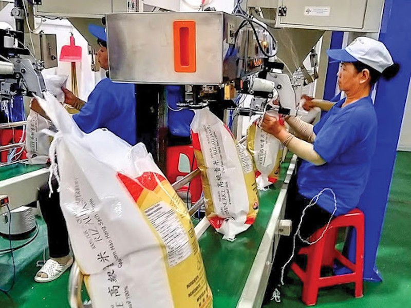 Nóng: Chính thức đề xuất Thủ tướng cho xuất khẩu gạo trở lại - ảnh 2