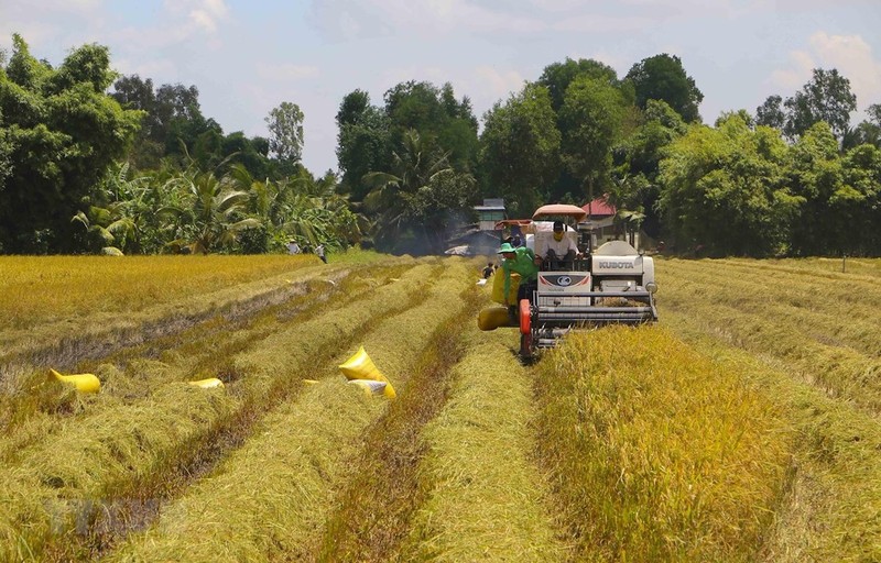 Bộ trưởng Nông nghiệp: Nếu có 'kế' gì hay xin gửi zalo cho tôi - ảnh 2