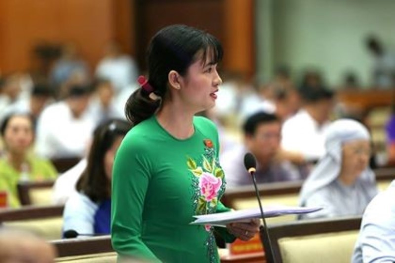 Đại biểu quan tâm hiệu quả chống ngập đường Nguyễn Hữu Cảnh - ảnh 2
