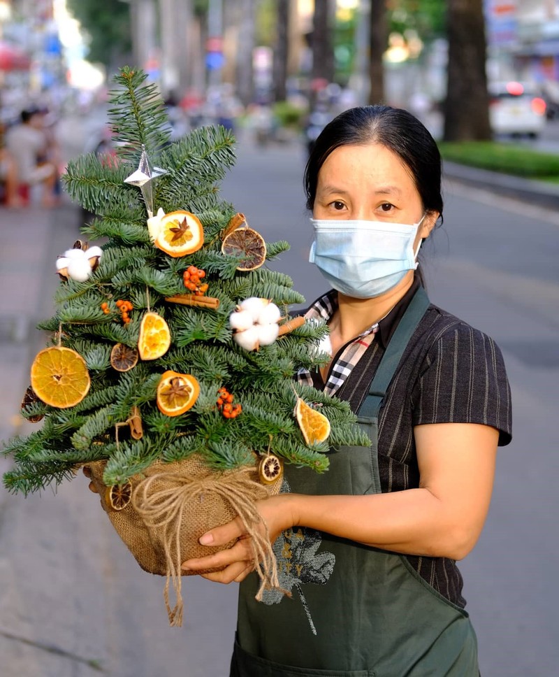 Nhiều người 'săn' thông cắm cành chơi Noel - ảnh 1