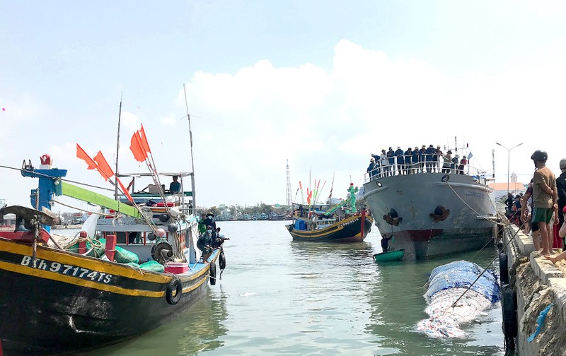  3 tàu cá đưa thi thể cá Ông dài 15 m vào đất liền - ảnh 1