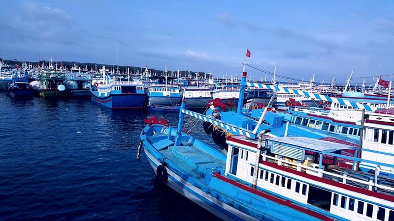 Bình Thuận: Dừng vận tải hành khách tuyến Phan Thiết - Phú Qúy - ảnh 1