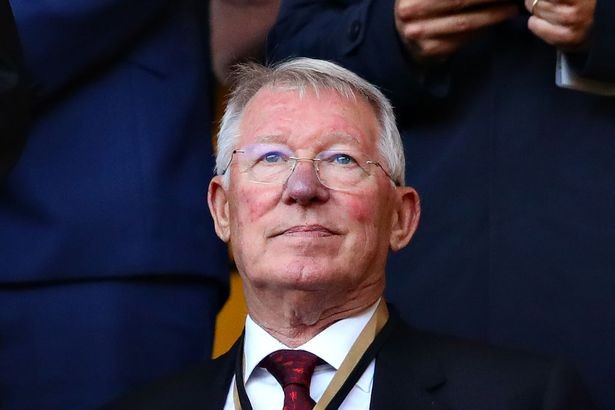 'Tôi sẽ tự sát vì Sir Alex Ferguson' - ảnh 2