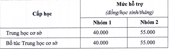 TP.HCM: Khẩn trương thực hiện hỗ trợ học phí cho học sinh - ảnh 3