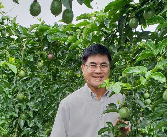 Vì sao phải 'khai tử' mới nhận được tiền kí quỹ? - ảnh 1