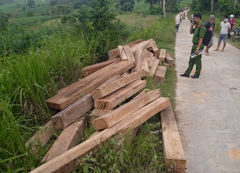 Nhà nhân viên bảo vệ rừng ở Phú Yên cất giấu nhiều gỗ trái phép  - ảnh 1