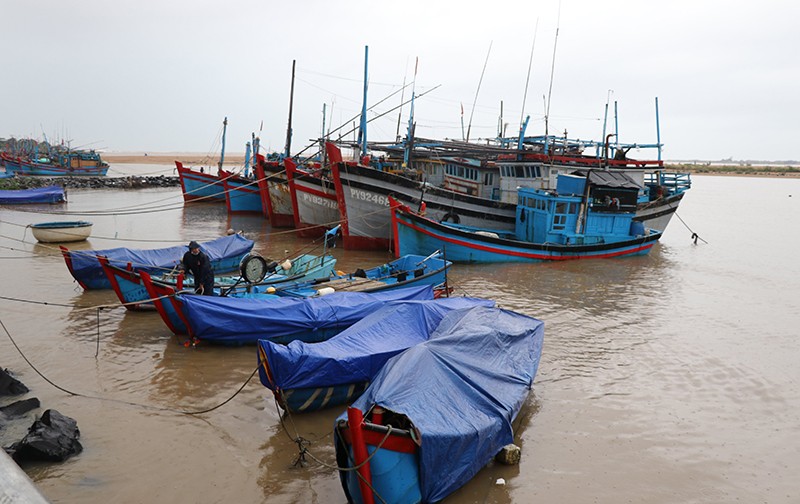 Phú Yên ứng phó với nguy cơ bão lũ dồn dập - ảnh 2