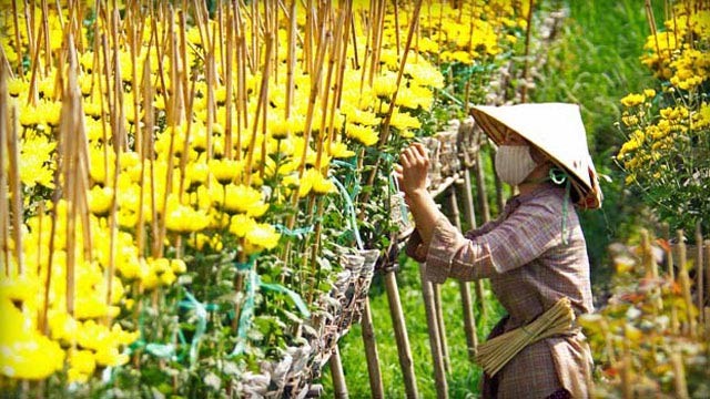 Dự báo thời tiết 10 ngày nghỉ Tết trên cả nước - ảnh 1