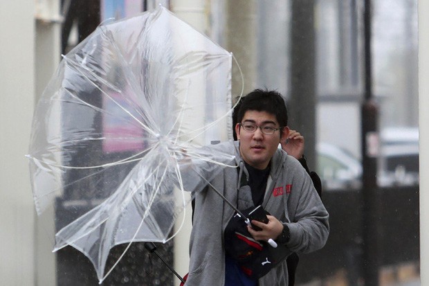 Siêu bão Hagibis bắt đầu tàn phá Nhật Bản - ảnh 7