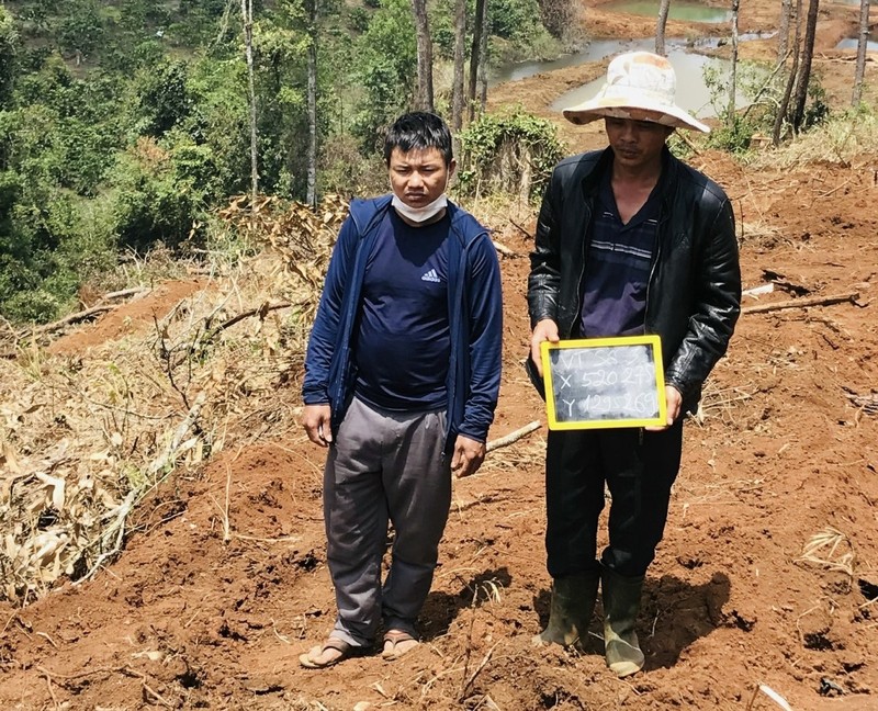 UBND tỉnh Lâm Đồng chỉ đạo điều tra, làm rõ vụ 1,9 ha rừng bị phá hủy - ảnh 1