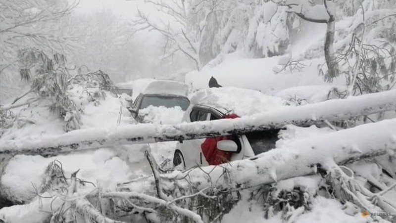 Đoàn người lái ô tô đi ngắm bão tuyết, bị kẹt xe, hàng chục người chết cóng  - ảnh 1