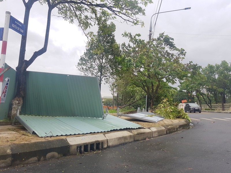 CSGT Quảng Nam dọn dẹp cây ngã do bão số 5 - ảnh 8
