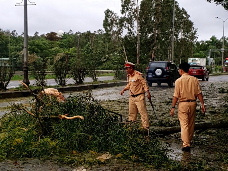 CSGT Quảng Nam dọn dẹp cây ngã do bão số 5 - ảnh 1