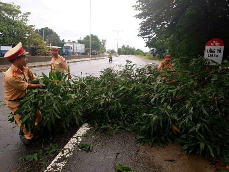 CSGT Quảng Nam dọn dẹp cây ngã do bão số 5 - ảnh 2