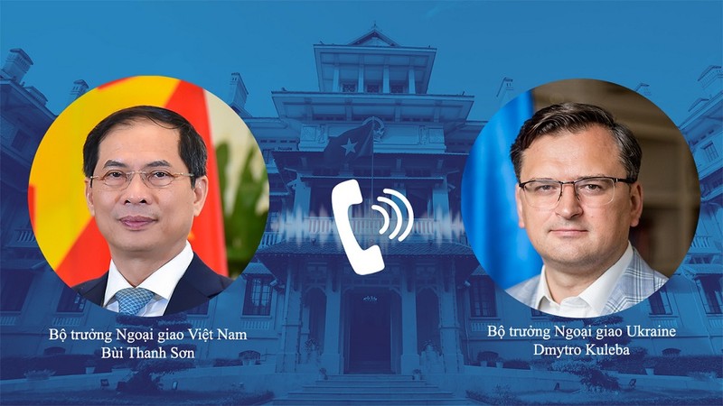 Bộ trưởng Bộ Ngoại giao Việt Nam điện đàm với Nga và Ukraina  - ảnh 1