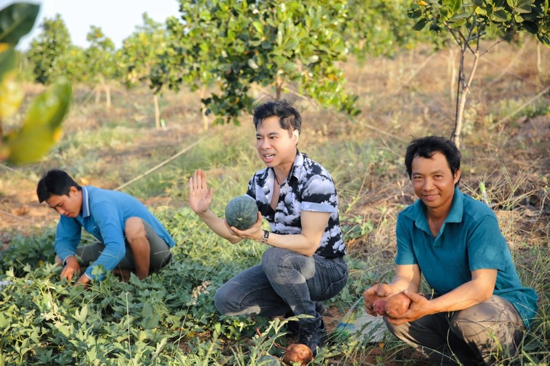 Ca sĩ Ngọc Sơn bỏ phố về quê, hóa nông dân trên khu vườn 50 héc ta - ảnh 1