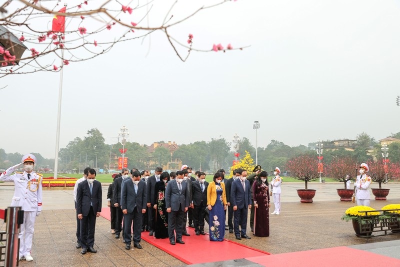 Lãnh đạo Đảng, Nhà nước vào Lăng viếng Chủ tịch Hồ Chí Minh dịp Tết Nhâm Dần - ảnh 8