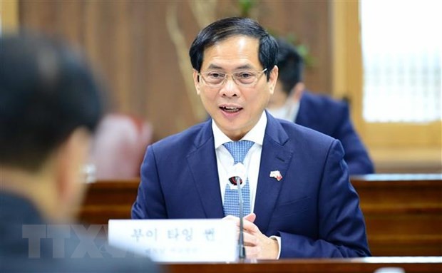 Bộ Ngoại giao thông tin về sức khỏe của Bộ trưởng Bùi Thanh Sơn - ảnh 1