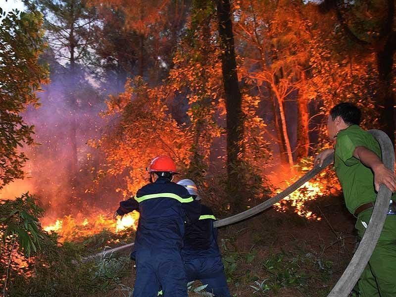 Sáu tháng, cả nước xảy ra 156 vụ cháy rừng - ảnh 1