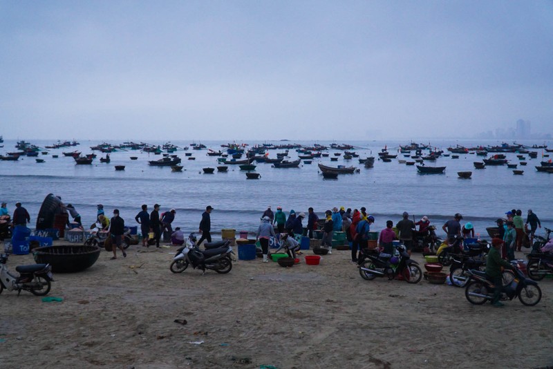 Ngư dân Đà Nẵng vào mùa ruốc biển đầu năm 2022 - ảnh 1