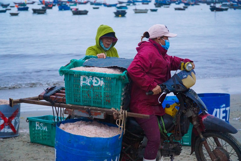 Ngư dân Đà Nẵng vào mùa ruốc biển đầu năm 2022 - ảnh 6