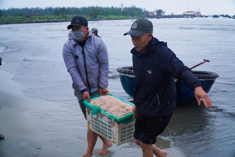 Ngư dân Đà Nẵng vào mùa ruốc biển đầu năm 2022 - ảnh 2