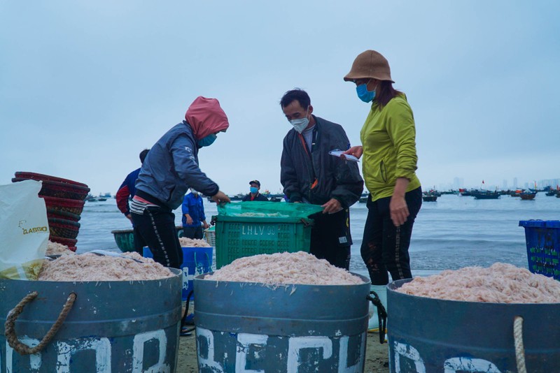 Ngư dân Đà Nẵng vào mùa ruốc biển đầu năm 2022 - ảnh 3