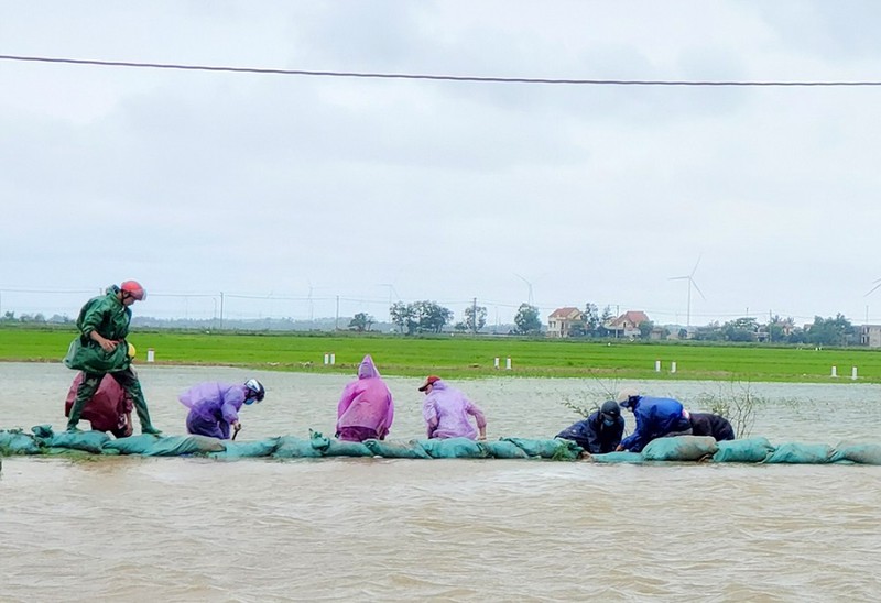 1 nông dân bất lực nhìn gần 7 ha lúa bị nước nhấn chìm - ảnh 3