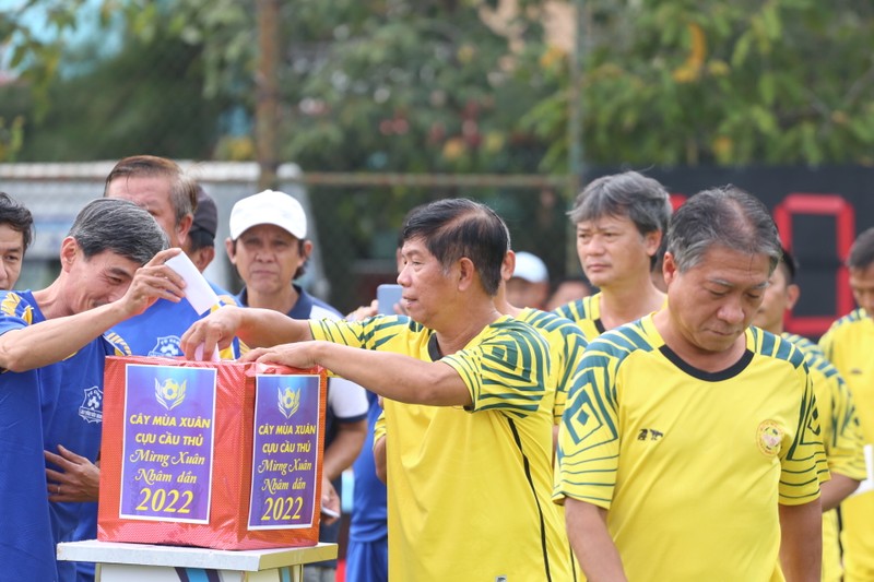 Tình Cây Mùa Xuân - ảnh 10