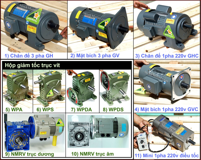 Taili – niềm tự hào của ngành motor giảm tốc quốc tế - ảnh 1